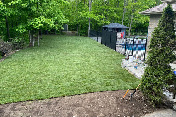Sod Installation