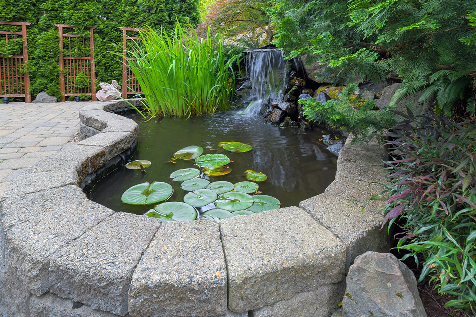 Water Features